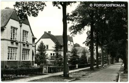 ansichtkaart: Balkbrug, De Boslaan