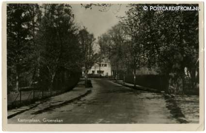 ansichtkaart: Groenekan, Kastanjelaan