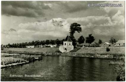 ansichtkaart: Enkhuizen, Boerenboom