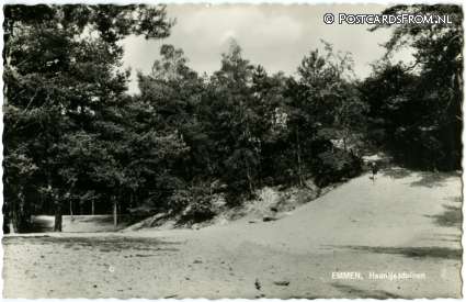 ansichtkaart: Emmen DR, Haantjesduinen