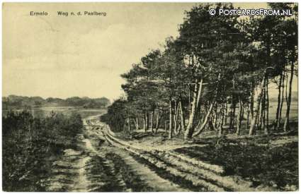Ermelo, Weg n.d. Paalberg ansichtkaart: Ermelo, Weg n.d. Paalberg