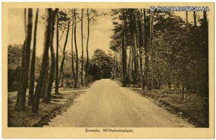 ansichtkaart: Ermelo, Wilhelminalaan