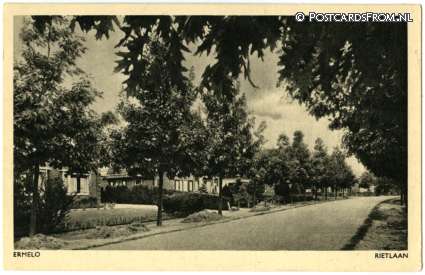 Ermelo, Rietlaan ansichtkaart: Ermelo, Rietlaan