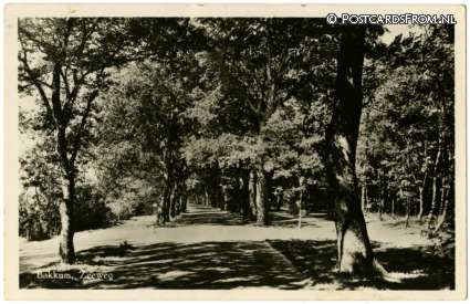 ansichtkaart: Bakkum, Zeeweg