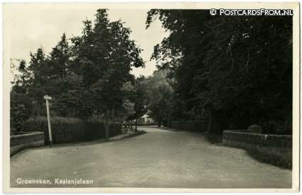 ansichtkaart: Groenekan, Kastanjelaan