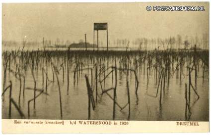 ansichtkaart: Dreumel, Een verwoeste kweekerij b.d. Watersnood in 1926
