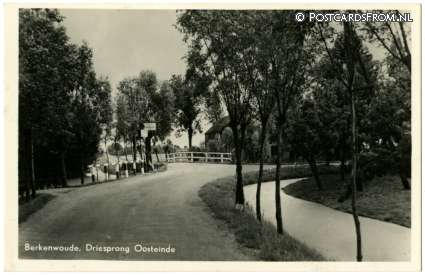 ansichtkaart: Berkenwoude, Driesprong Oosteinde
