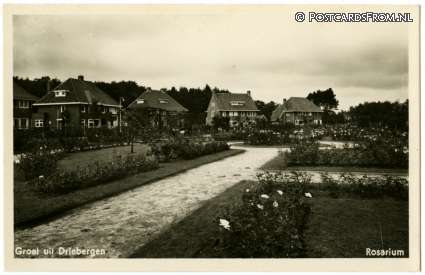 ansichtkaart: Driebergen, Rosarium