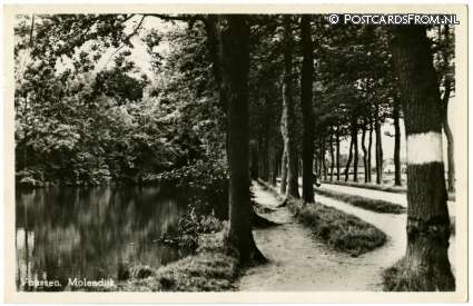 ansichtkaart: Vaassen, Molendijk