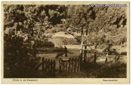 Nes Ameland, Kijkje in de Kweekerij ansichtkaart: Nes Ameland, Kijkje in de Kweekerij