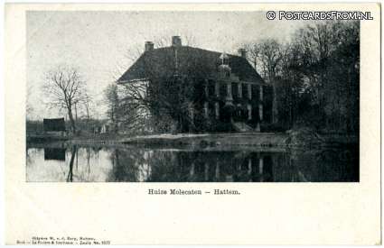 ansichtkaart: Hattem, Huize Molecaten
