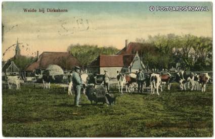 ansichtkaart: Dirkshorn, Weide