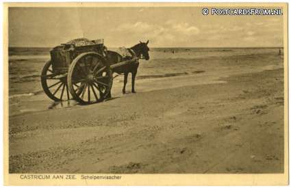 ansichtkaart: Castricum, Schelpenvisscher