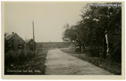 ansichtkaart: Dodewaard, Wely. Groenestraat met dijk