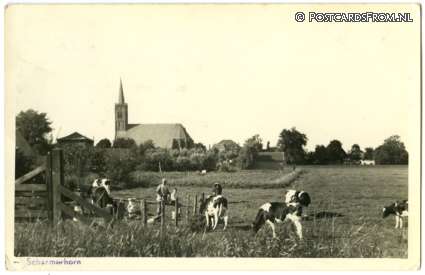 ansichtkaart: Schermerhorn, Panorama. Kerk