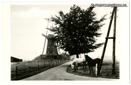 ansichtkaart: Bronkhorst, Dwangmolen