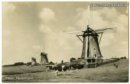 ansichtkaart: --, Mooi Nederland. Molens