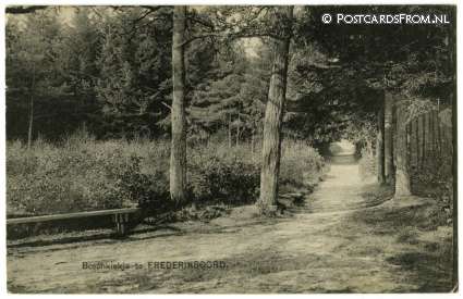 ansichtkaart: Frederiksoord, Boschkiekje