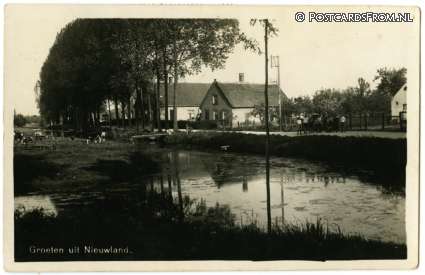 Nieuwland, Groeten uit ansichtkaart: Nieuwland, Groeten uit