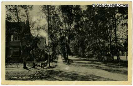 ansichtkaart: Ermelo, Berkenlaan