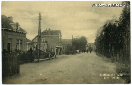 ansichtkaart: Den Dolder, Doldersche Weg
