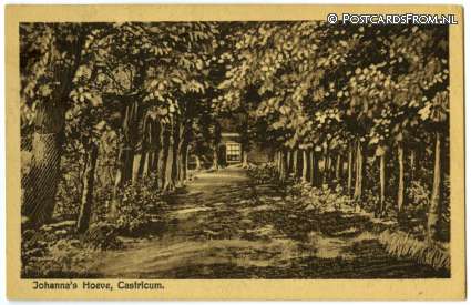ansichtkaart: Castricum, Johanna's Hoeve
