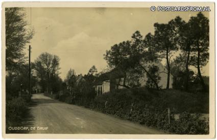 Ouddorp, De Druif ansichtkaart: Ouddorp, De Druif