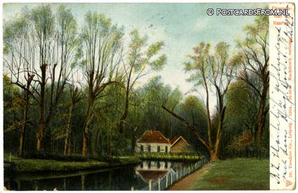 ansichtkaart: Overveen, Elswoudslaan