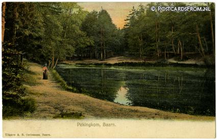 ansichtkaart: Baarn, Pekingkom