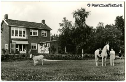 Venlo, Herungen. Cafe-Rest. Backus ansichtkaart: Venlo, Herungen. Cafe-Rest. Backus