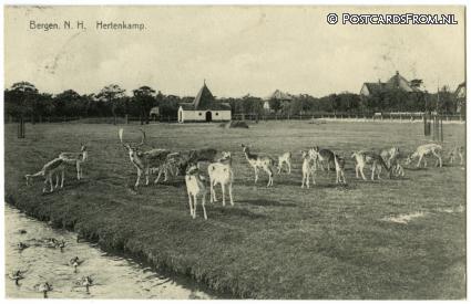 ansichtkaart: Bergen NH, Hertenkamp
