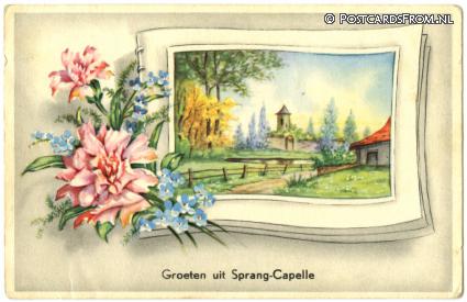 ansichtkaart: Sprang-Capelle, Groeten uit