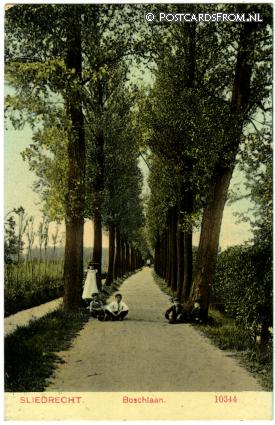 ansichtkaart: Sliedrecht, Boschlaan