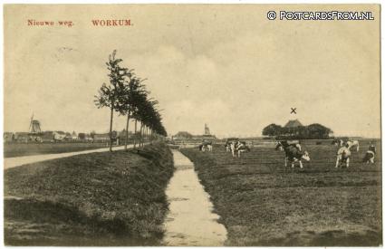 ansichtkaart: Workum, Nieuwe weg