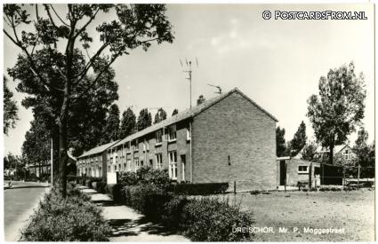 Dreischor, Mr. P. Moggestraat ansichtkaart: Dreischor, Mr. P. Moggestraat
