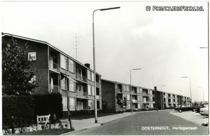 ansichtkaart: Oosterhout NB, Hertogenlaan