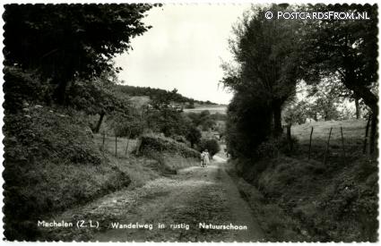 Mechelen, Wandelweg in rustig Natuurschoon ansichtkaart: Mechelen, Wandelweg in rustig Natuurschoon