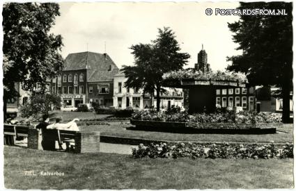 ansichtkaart: Tiel, Kalverbos