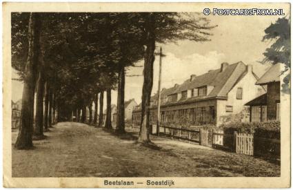Soestdijk, Beetslaan ansichtkaart: Soestdijk, Beetslaan