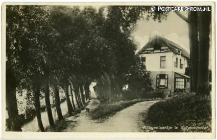 ansichtkaart: Schoonhoven, Willigenlaantje