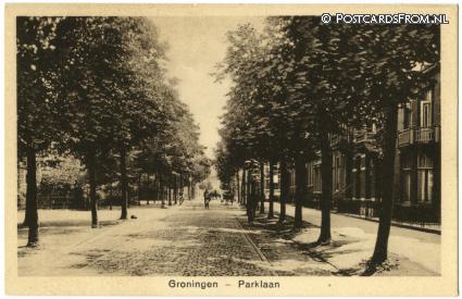 ansichtkaart: Groningen, Parklaan
