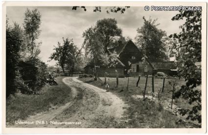 ansichtkaart: Udenhout, Natuurreservaat