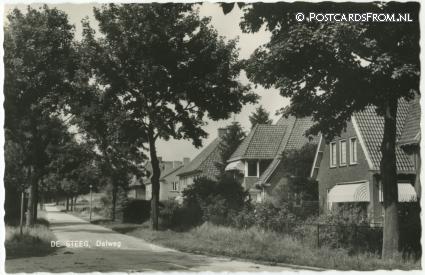 ansichtkaart: De Steeg, Dalweg