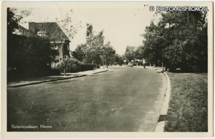 Haren GN, Botanicuslaan ansichtkaart: Haren GN, Botanicuslaan