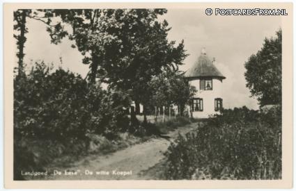 ansichtkaart: Steenwijk, Landgoed 'De Eese', De witte Koepel