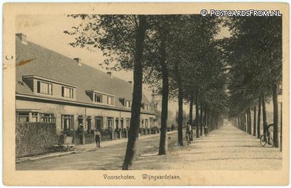 ansichtkaart: Voorschoten, Wijngaardelaan