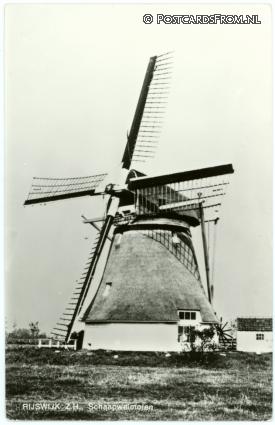 ansichtkaart: Rijswijk ZH, Schaapweimolen