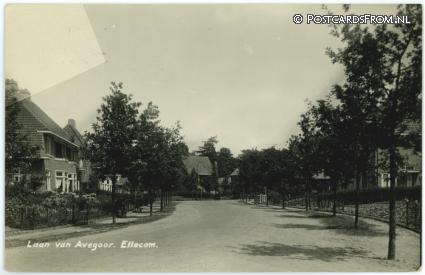 Ellecom, Laan van Avegoor ansichtkaart: Ellecom, Laan van Avegoor