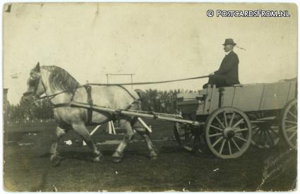 ansichtkaart: Groningen, Ned.-Belgisch Trekpaard Mercure II, 2e prijs 1916