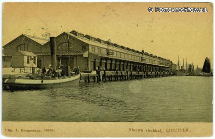 IJmuiden, Nieuwe vischhal ansichtkaart: IJmuiden, Nieuwe vischhal